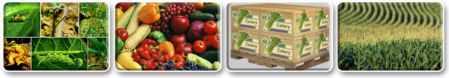   Benefits and Applications of PRA