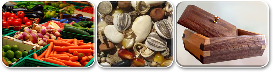 Commodities and Pests
