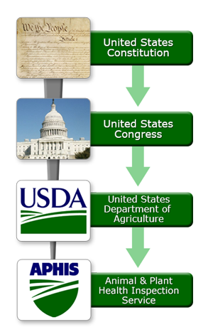 APHIS Authority Hierarchy Flowchart