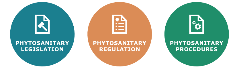 Phytosanitary Measure